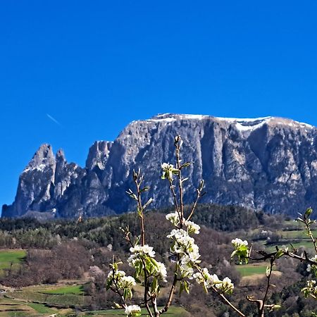 Pignathof Rosacea Appartement Campodazzo Buitenkant foto